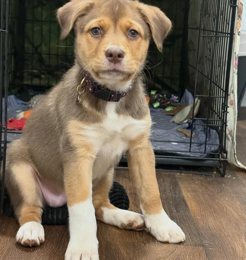 Ipswitch thumbnail 2