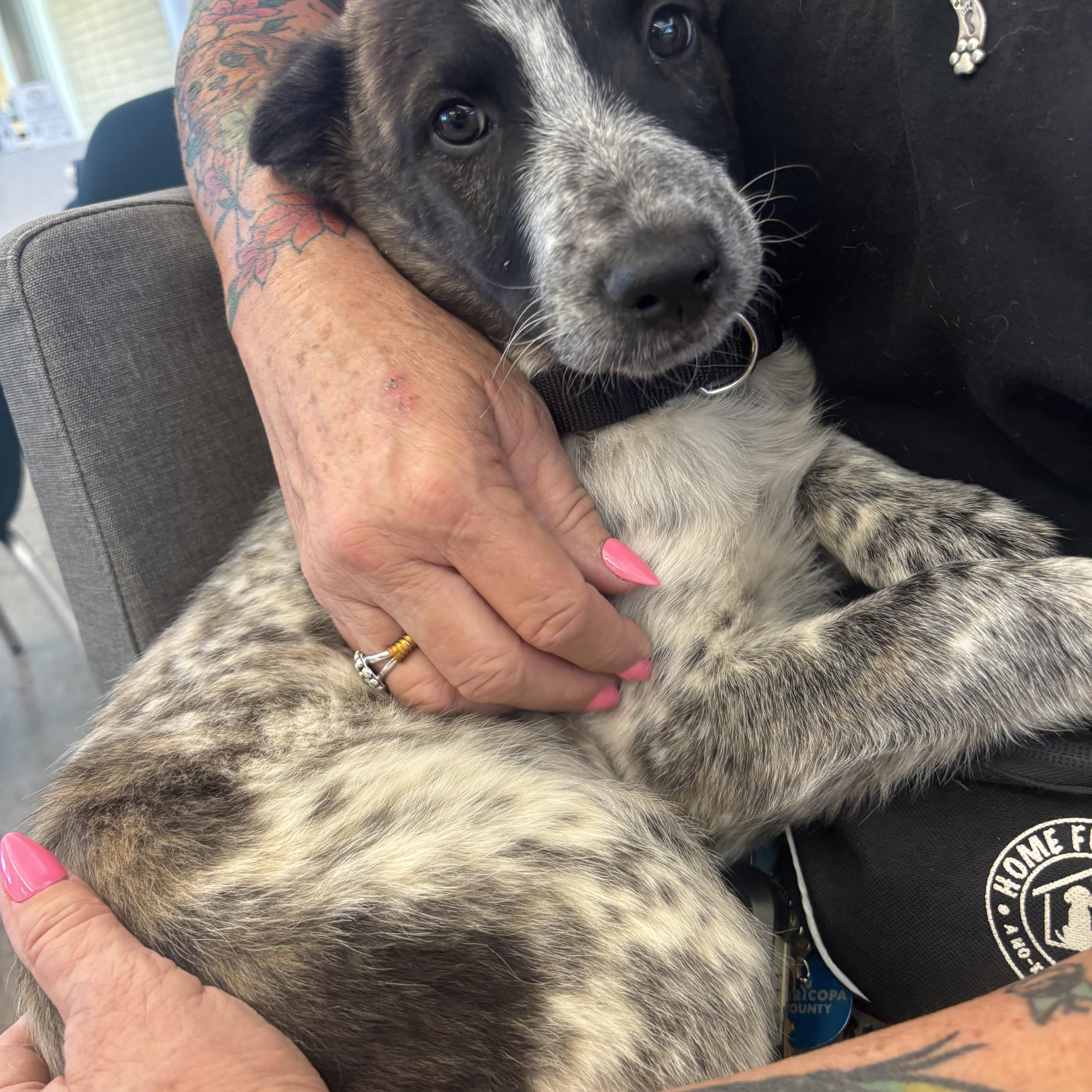 Dolly Pawton thumbnail 6