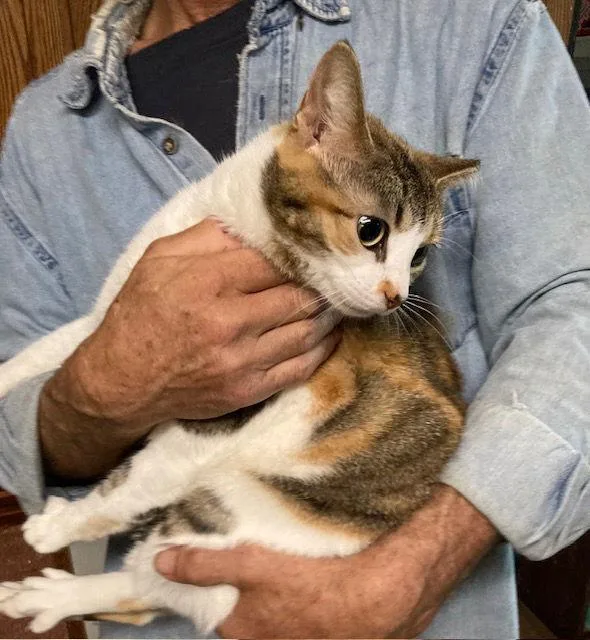 Marla Bonded With Mervin thumbnail 2