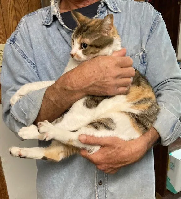 Marla Bonded With Mervin thumbnail 3