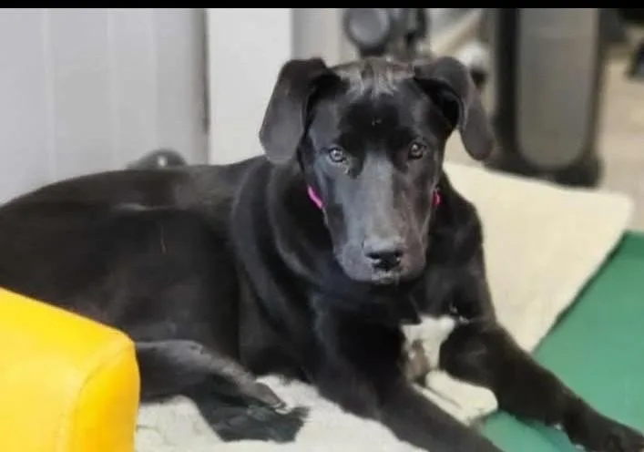 Wednesday thumbnail 2