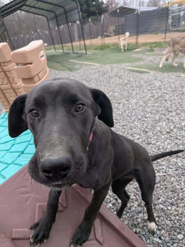 Wednesday thumbnail 4