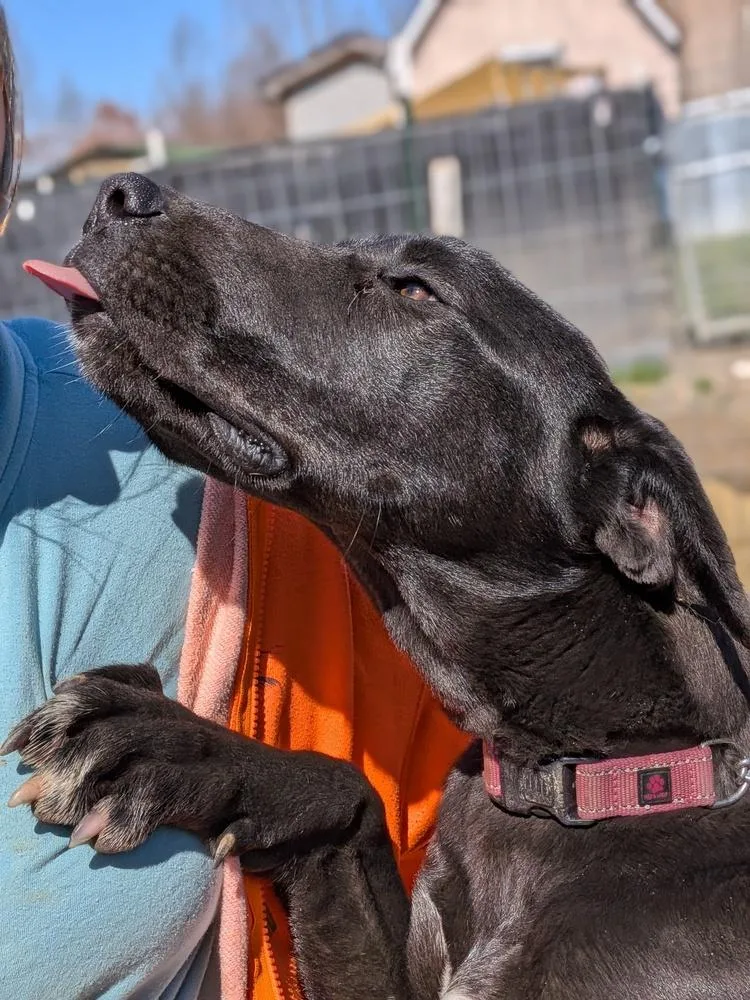 Wednesday thumbnail 5