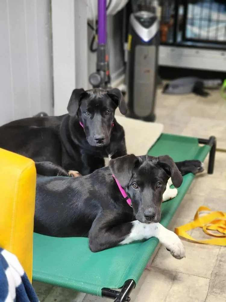 Wednesday thumbnail 6