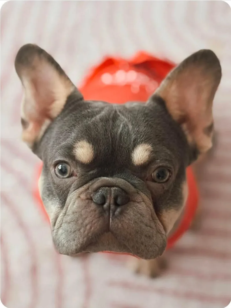 Loki thumbnail 2
