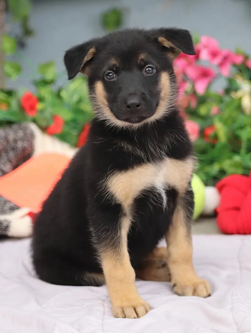 Nemo von Nala thumbnail 5