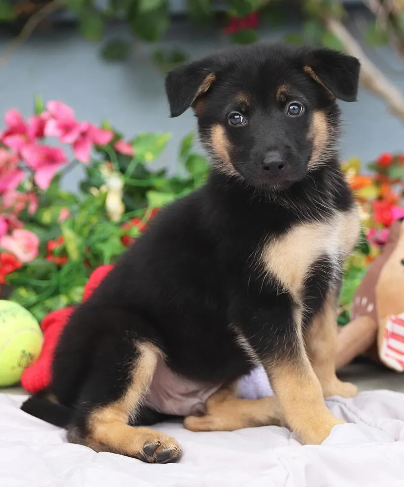 Nemo von Nala thumbnail 6
