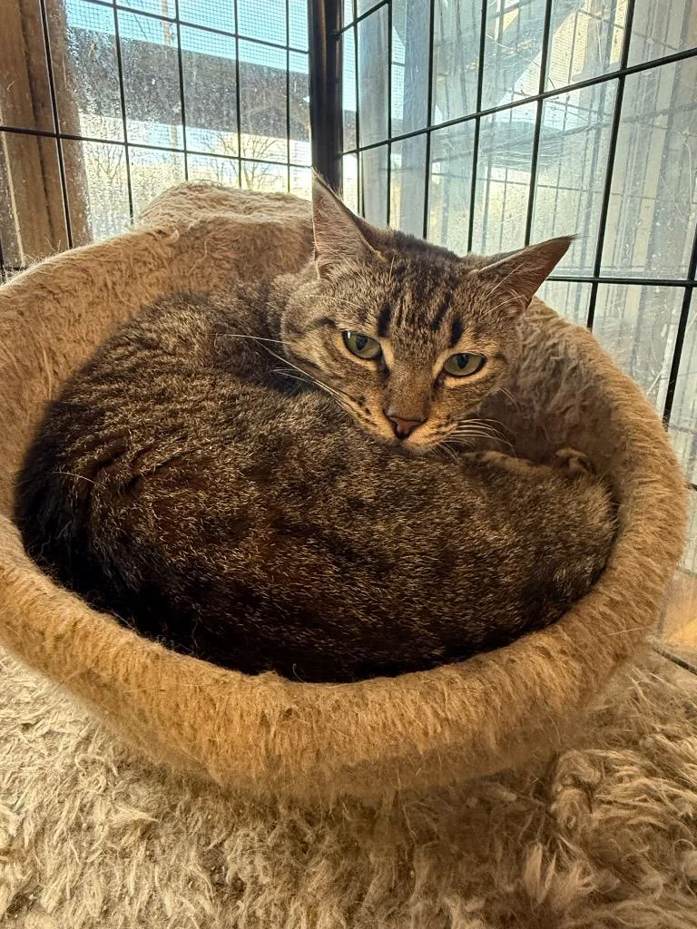 Maggysponsored thumbnail 2