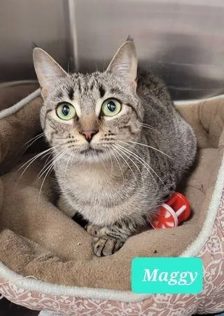 Maggysponsored thumbnail 5