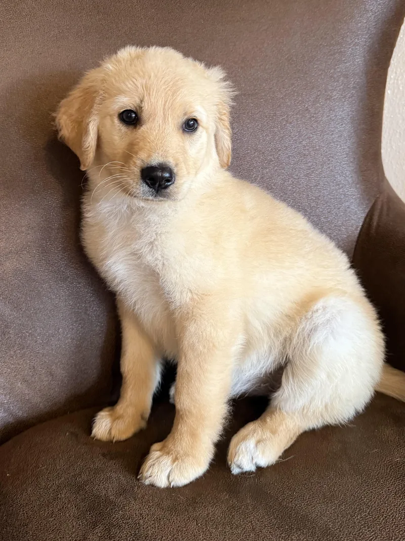 Matilda
