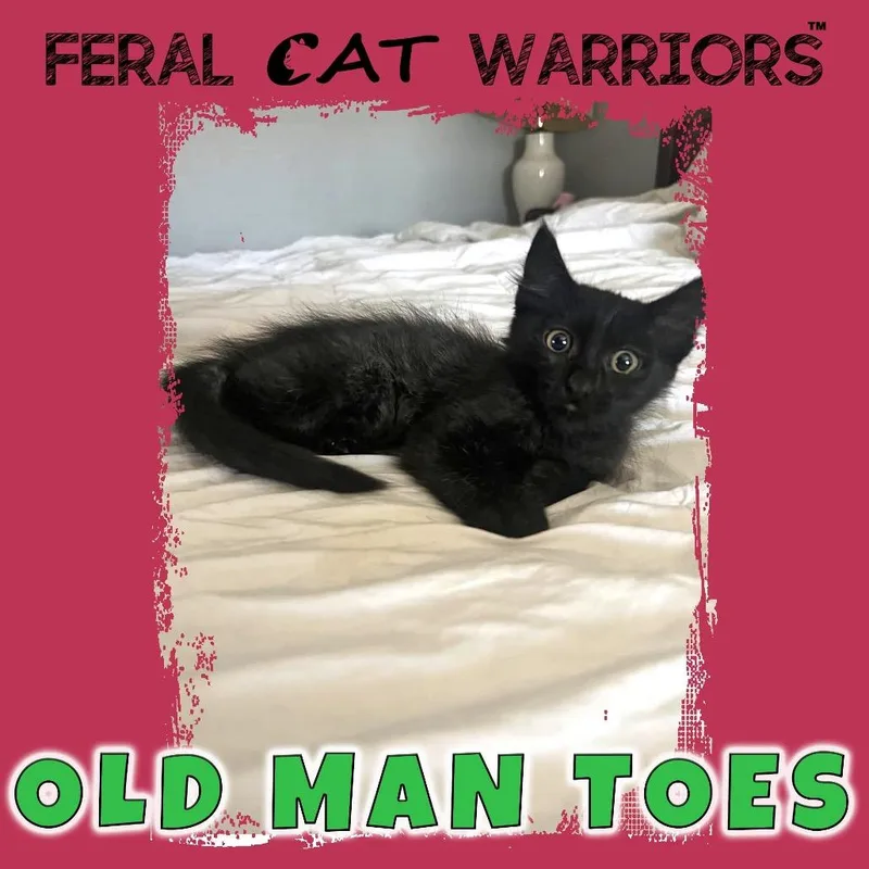 Old Man Toes