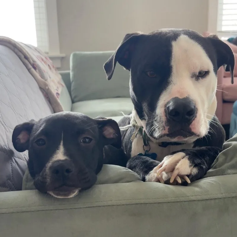 Crunch Fitness thumbnail 3