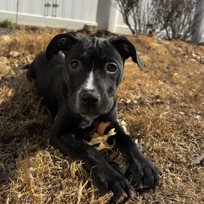 Crunch Fitness thumbnail 4