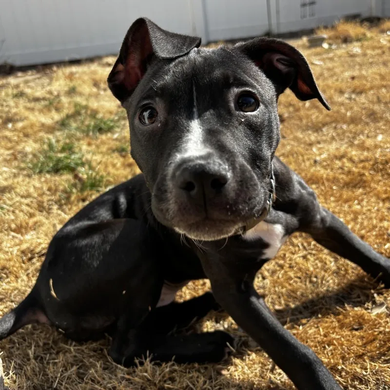 Crunch Fitness thumbnail 5