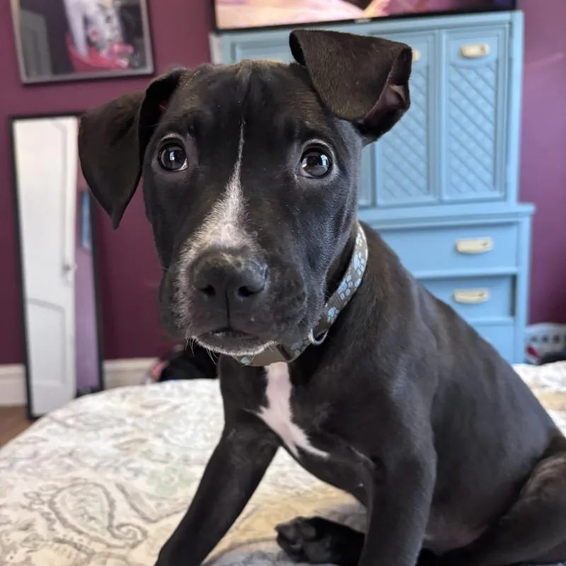 Crunch Fitness thumbnail 6