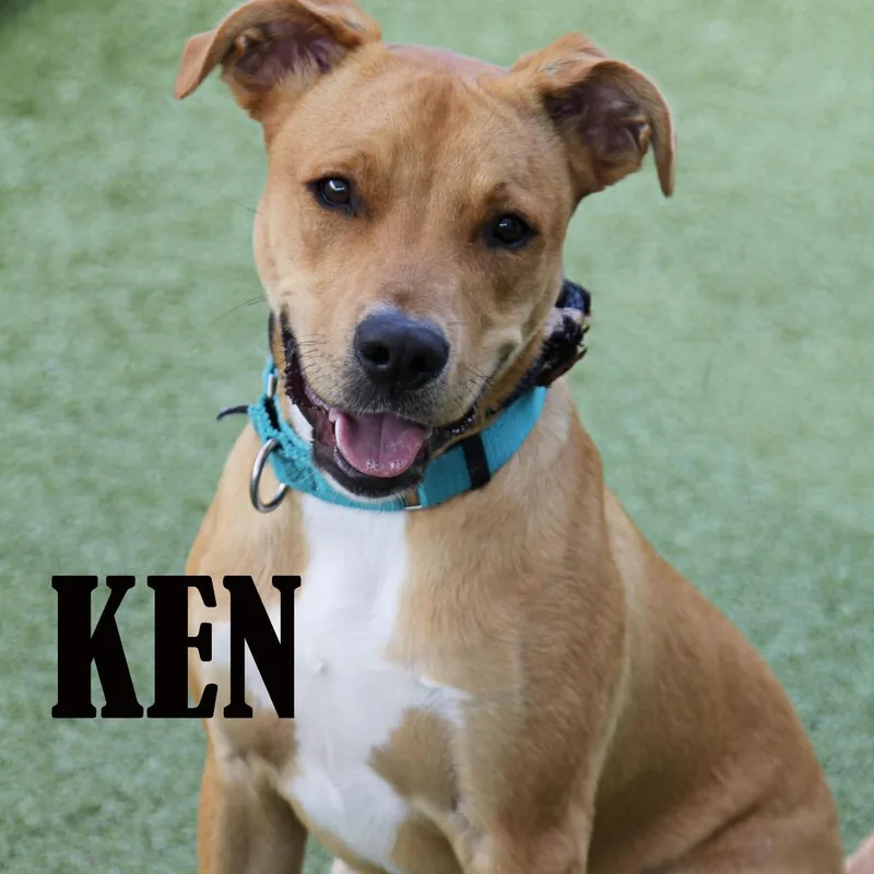 Ken thumbnail 5