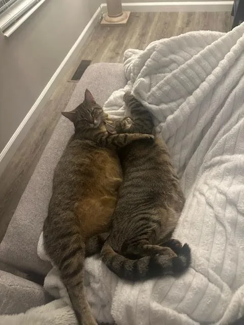 Coco & Rikki