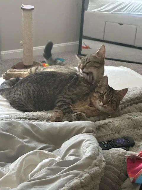 Coco & Rikki  thumbnail 3