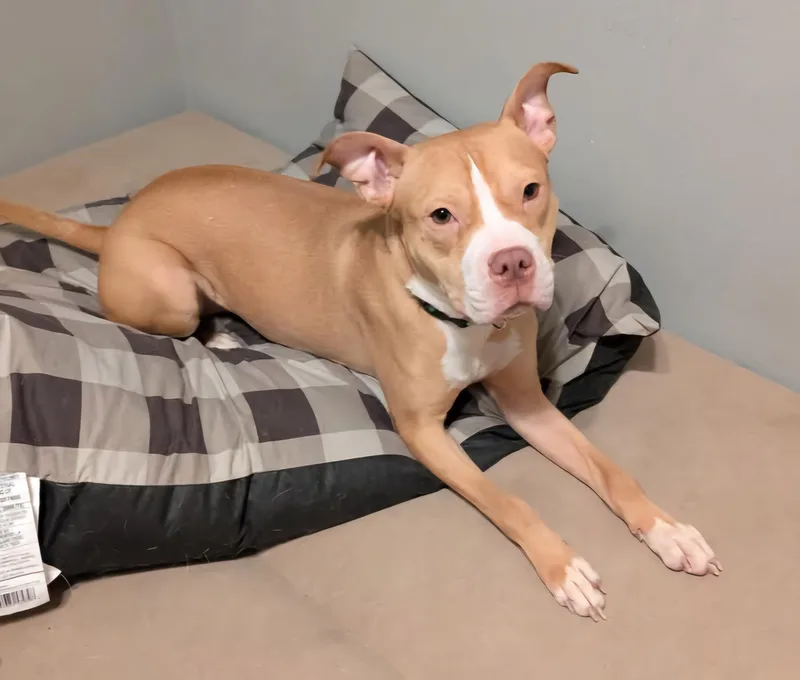 Sadie Rue   thumbnail 2