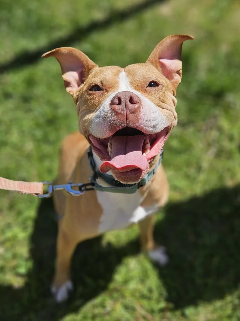 Sadie Rue   thumbnail 3