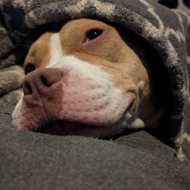 Sadie Rue   thumbnail 4