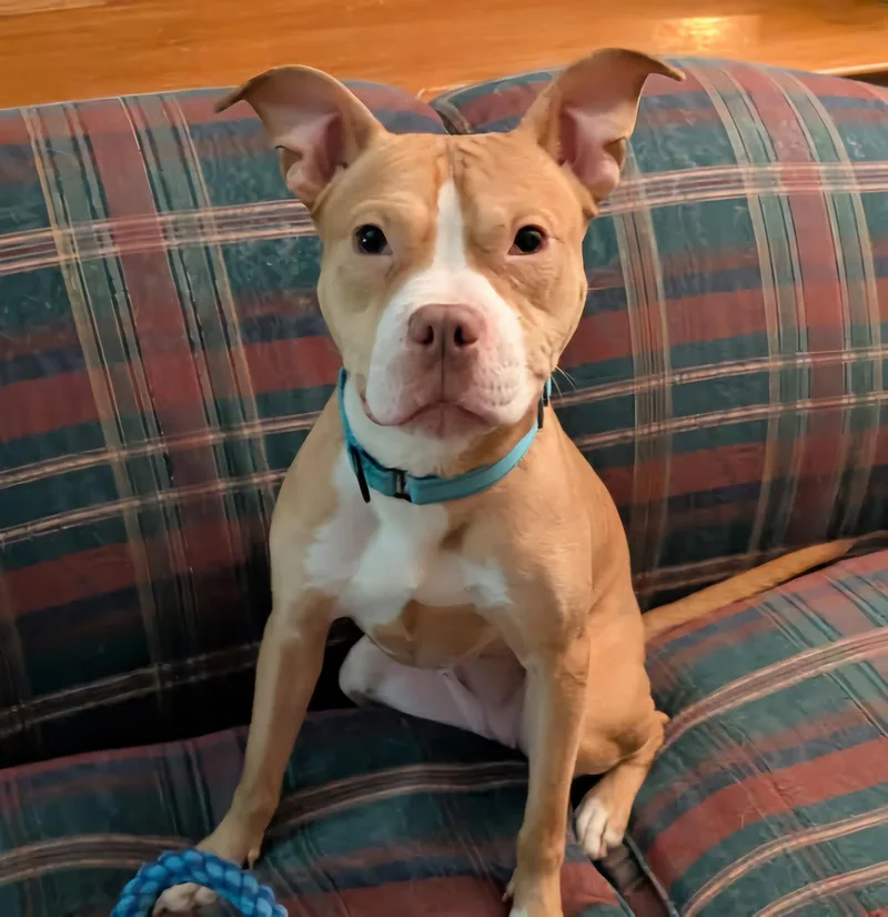 Sadie Rue   thumbnail 5