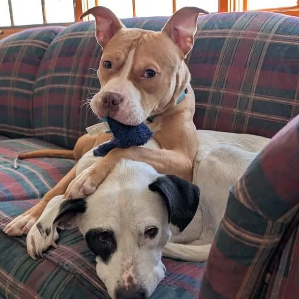 Sadie Rue   thumbnail 6