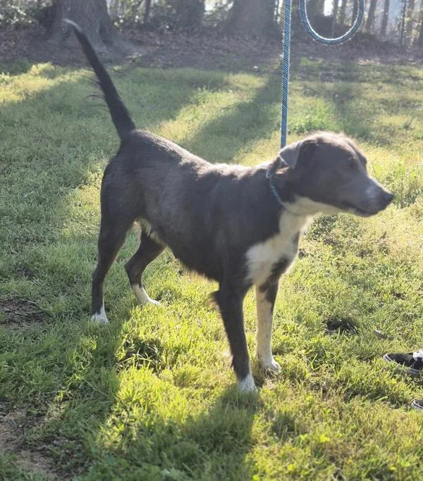 Pen  Lorelai Hw+ thumbnail 3