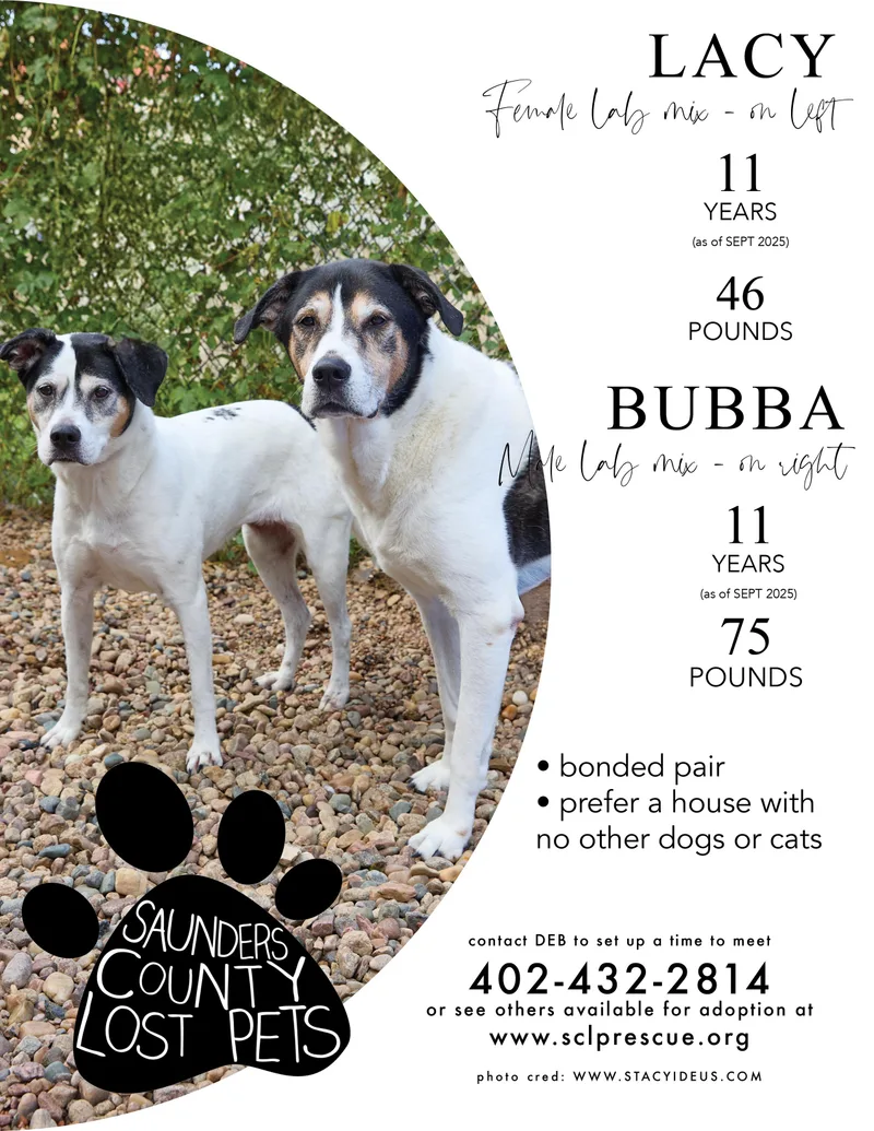 Bonded Pair Bubba & thumbnail 2