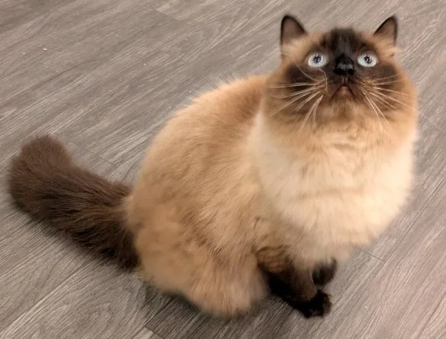 Sabrina