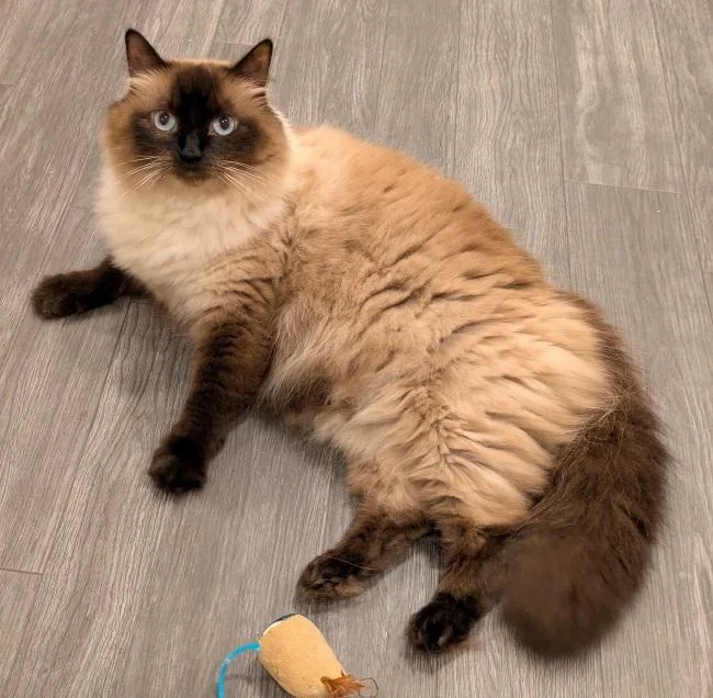 Sabrina thumbnail 2