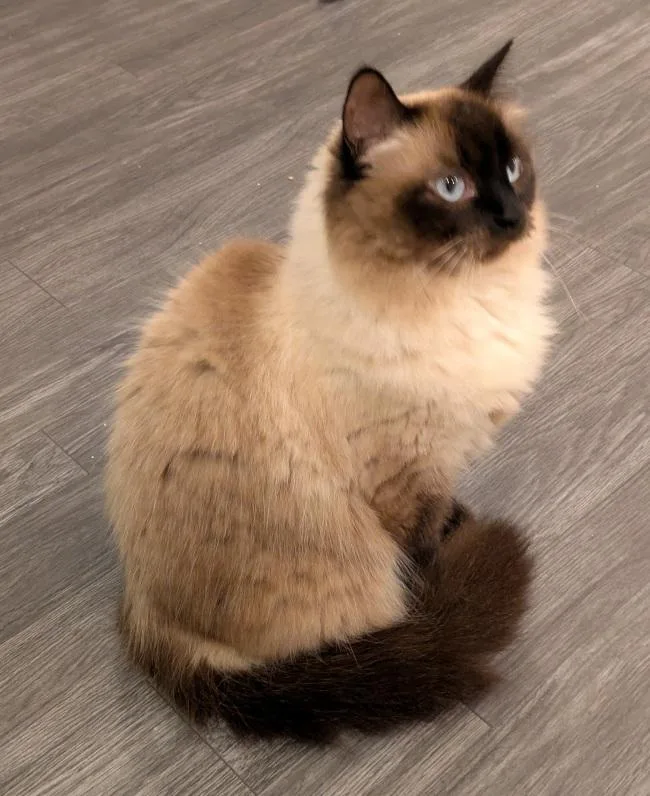 Sabrina thumbnail 3