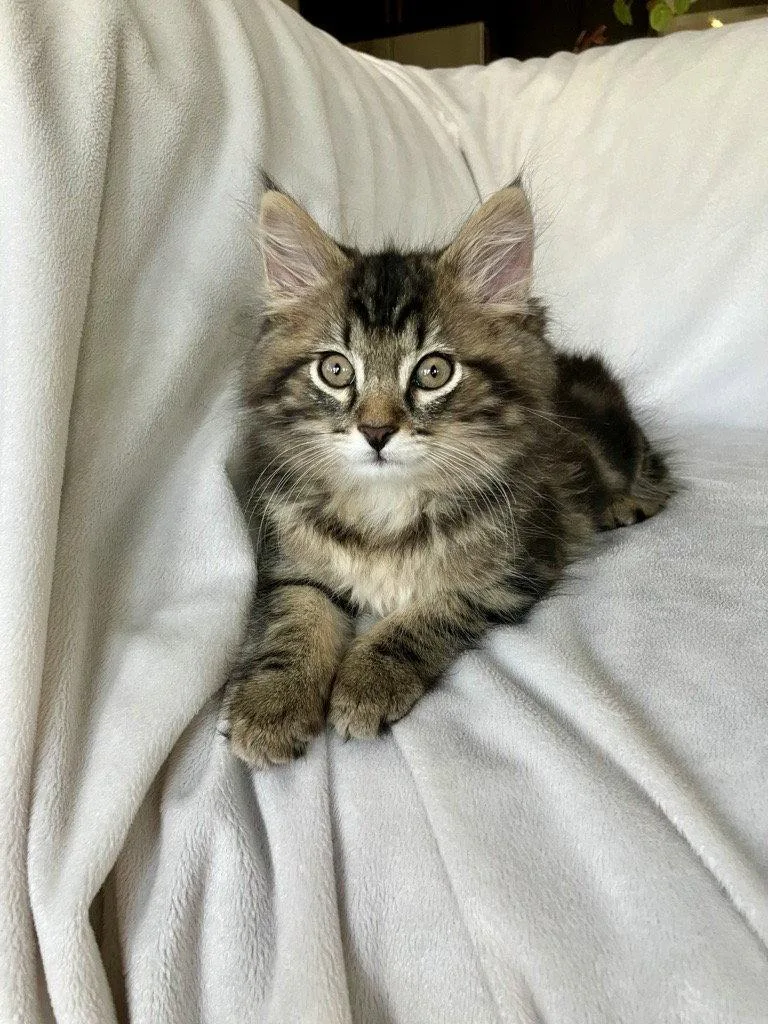 Ernie