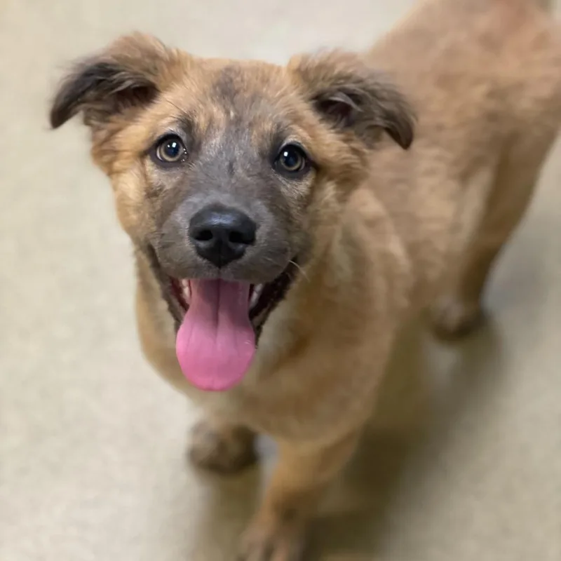 Felicity thumbnail 2