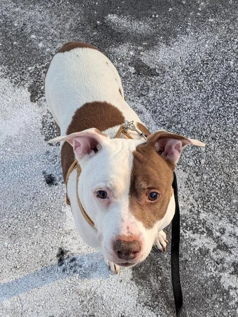 Noodle And Jj thumbnail 2