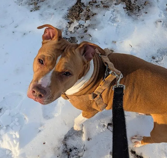 Noodle And Jj thumbnail 3