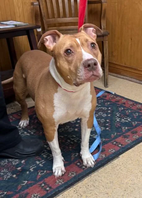 Noodle And Jj thumbnail 4