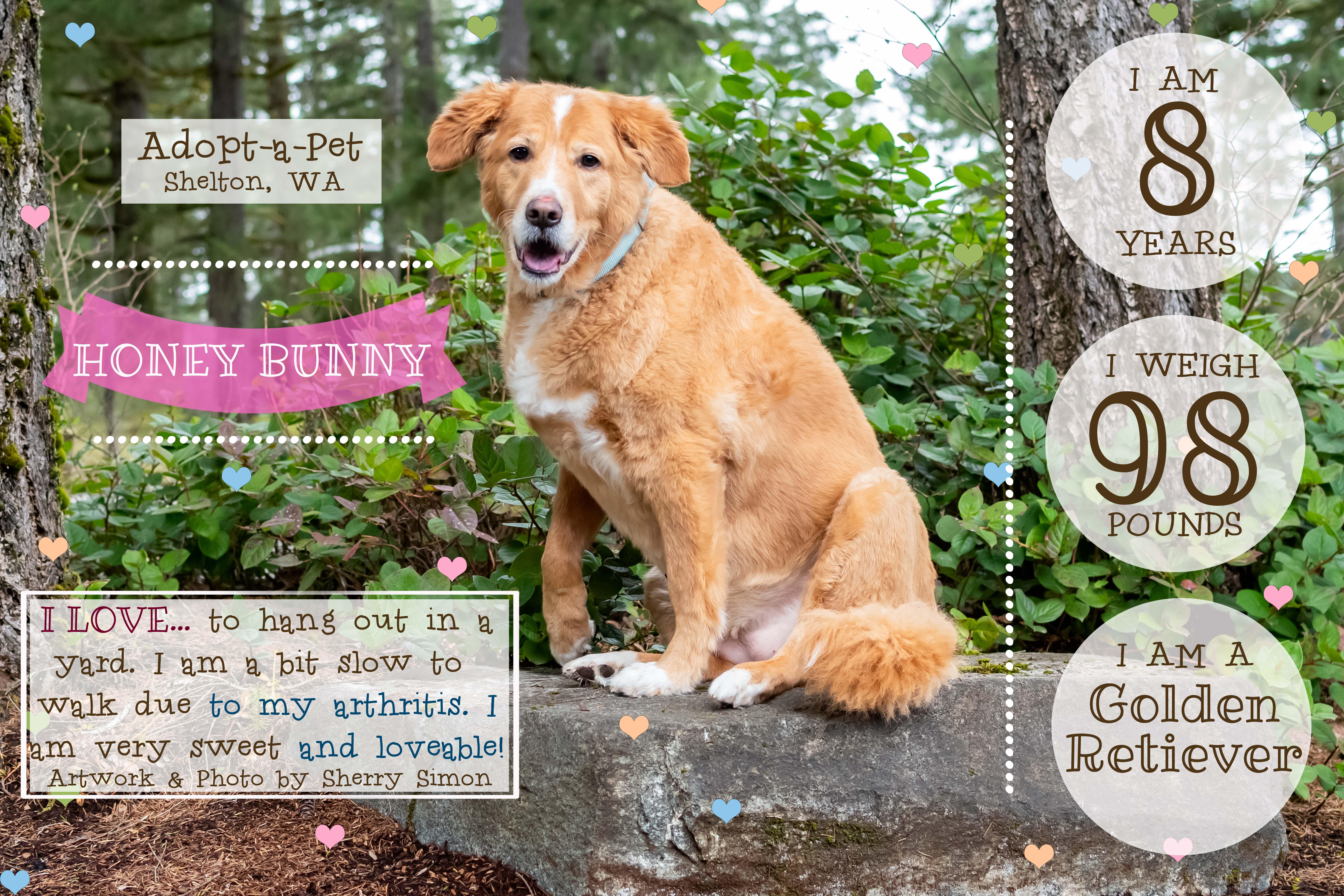 Honey Bunny thumbnail 4