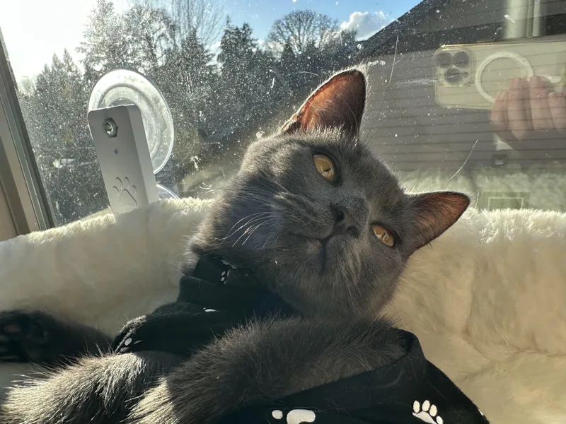 Georgie  See Video thumbnail 3