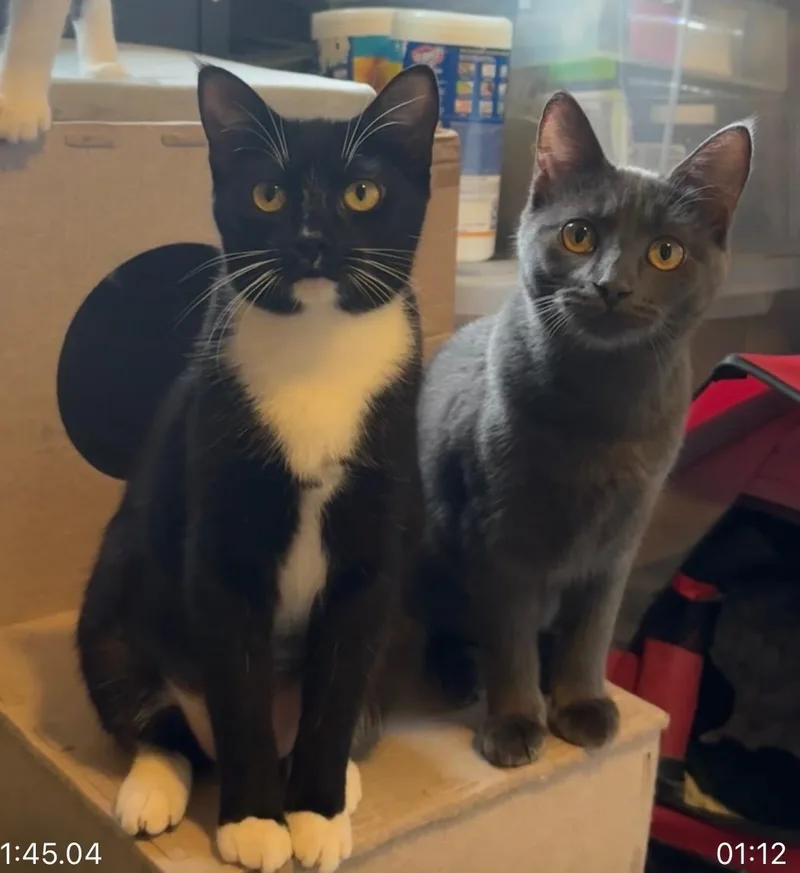 Georgie  See Video thumbnail 4