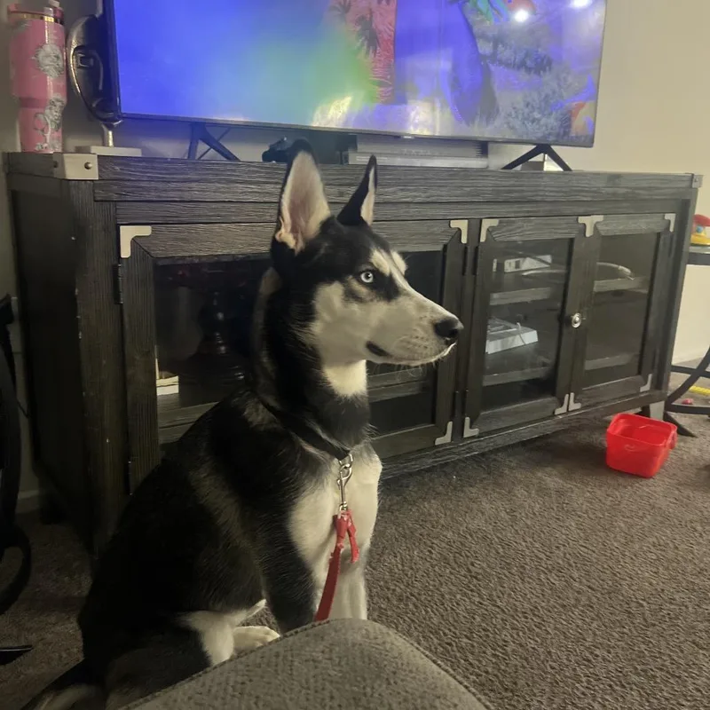 Skye