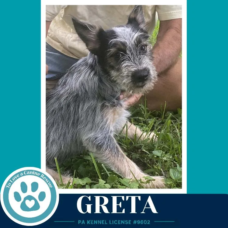 Greta thumbnail 2