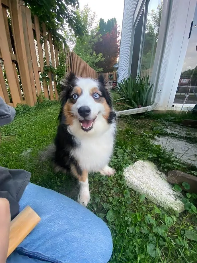 Lexi Grace thumbnail 2