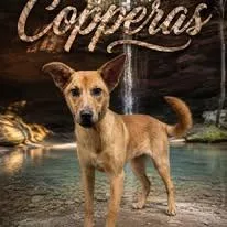 Copperas thumbnail 5