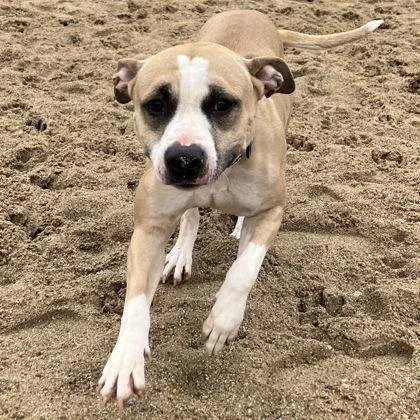 Princess thumbnail 3