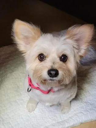 Coco