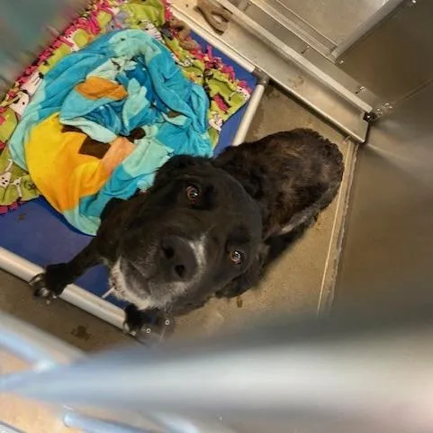 Darla thumbnail 3