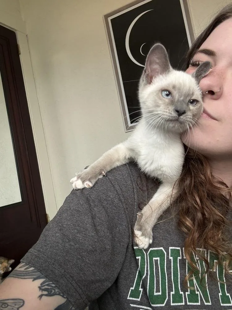 Nepotism Hire thumbnail 6