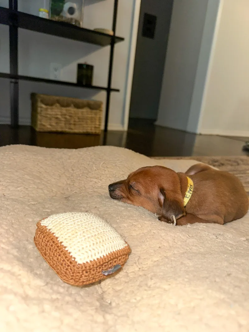 Elvis Presley thumbnail 3