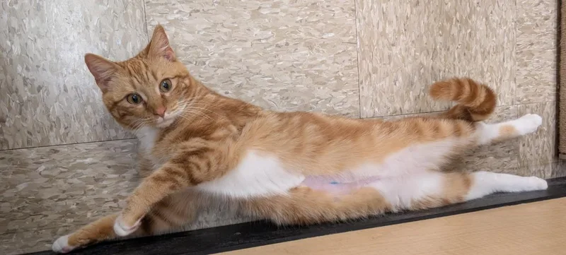 Maxlynne thumbnail 3